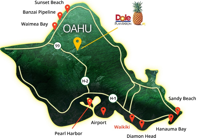 Contact Us Dole Plantation Tours