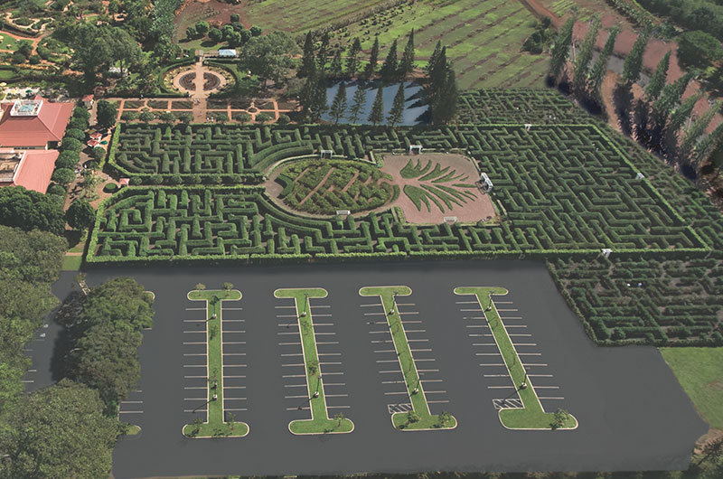 PLANTATION MAZE